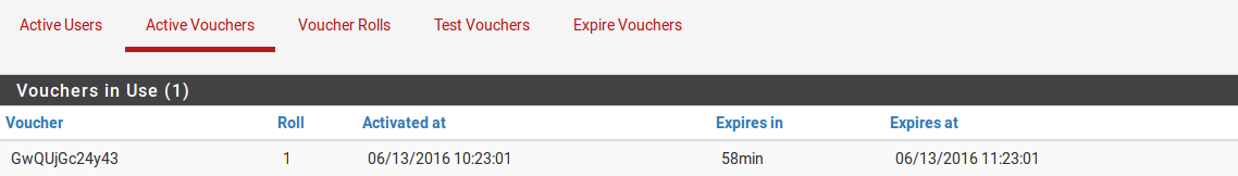 ../_images/captiveportal-captiveportal-vouchers-active.png